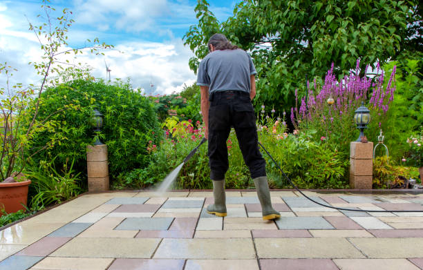Best Winterizing Services  in San Bernardino, CA
